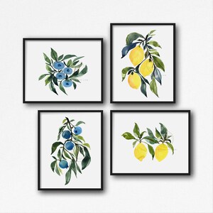 Lemons and Blueberries Watercolor Print Set of 4