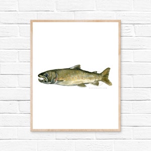 Bull Trout Watercolor Print