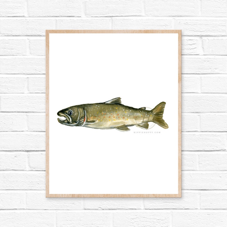 Bull Trout Watercolor Print Etsy