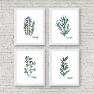 Watercolor Herb Print Set of 4