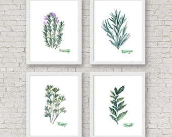 Watercolor Herb Print Set of 4 Watercolor Green Botanical Prints Kitchen Wall Art Home Decor Art Print Wall Decor Herb Set Herbs Art Prints