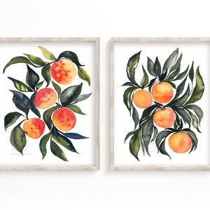 Apricot and Oranges Watercolor Printa Set of 2