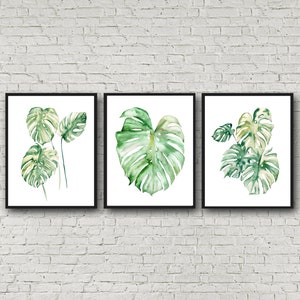 Monstera Watercolor Prints, Tropical Plant Art, set of 3