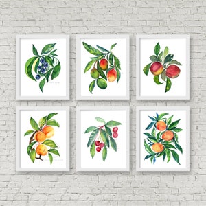 Fruit Watercolor Set of 6