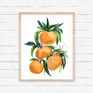 Mandarins Oranges Watercolor Print
