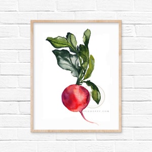 Radish Watercolor Print Vegetable Art by HippieHoppy