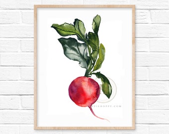 Radish Watercolor Print Vegetable Art by HippieHoppy