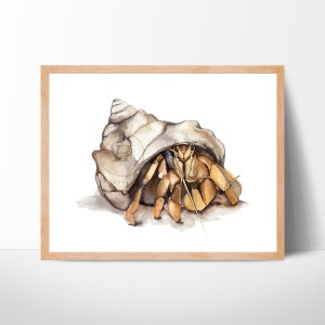 Hermit crab Watercolor Print