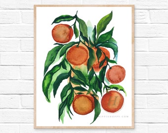 Large Oranges, Watercolor Print, Modern Art by HippieHoppy