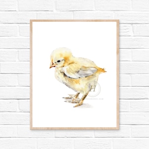 Little Chick Watercolor Print, Chicken Art, Wall Decor