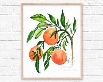 Könnte beinhalten: Aquarellmalerei eines Zweigs eines Orangenbaums mit drei Orangen. Die Orangen sind leuchtend orange und die Blätter sind tiefgrün. Das Gemälde ist auf weißem Hintergrund.