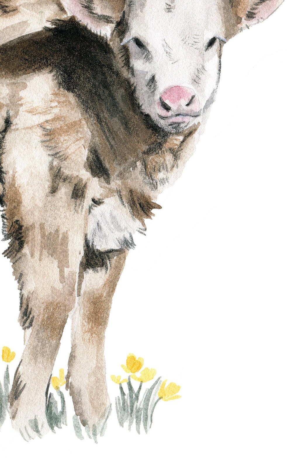 Calf Watercolor Print Unframed Etsy