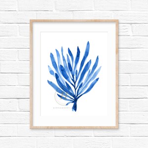 Coastal Wall Art Blue Seaweed Print Watercolor Set of 6 Prints - Etsy