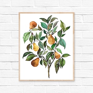 Pear Tree Watercolor Print