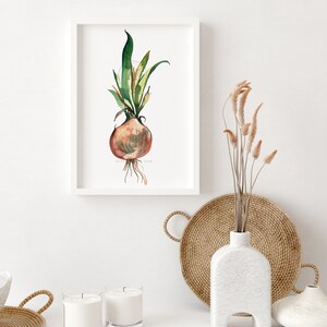 Stampa ad acquerello di cipolla, arte vegetale immagine 2