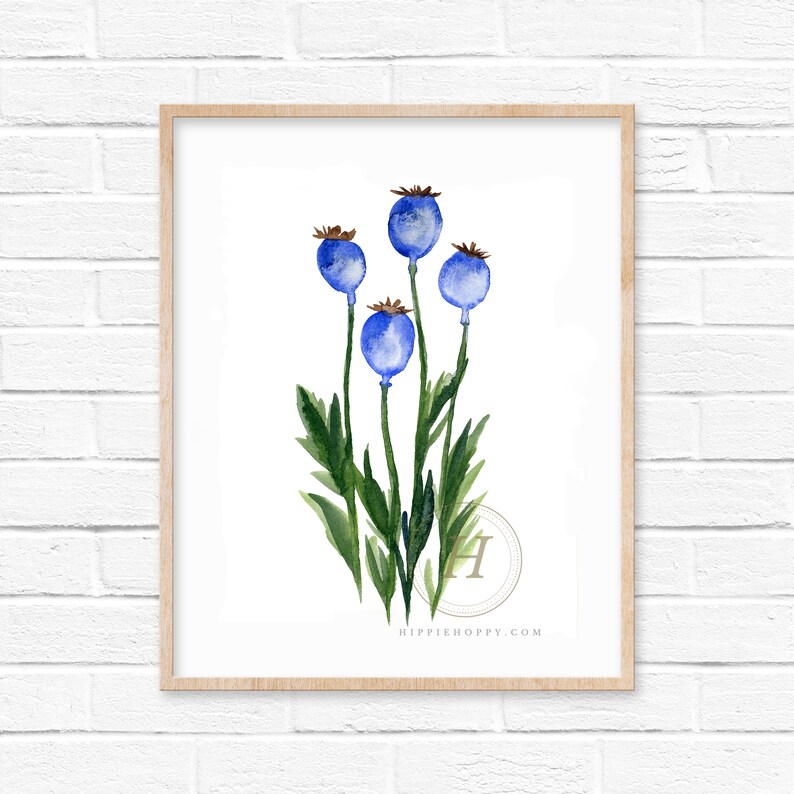 Poppy Seed Head Watercolor Print Etsy