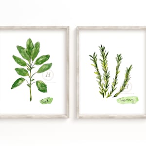 Basil and Rosemary Herbs Watercolor Print set of 2