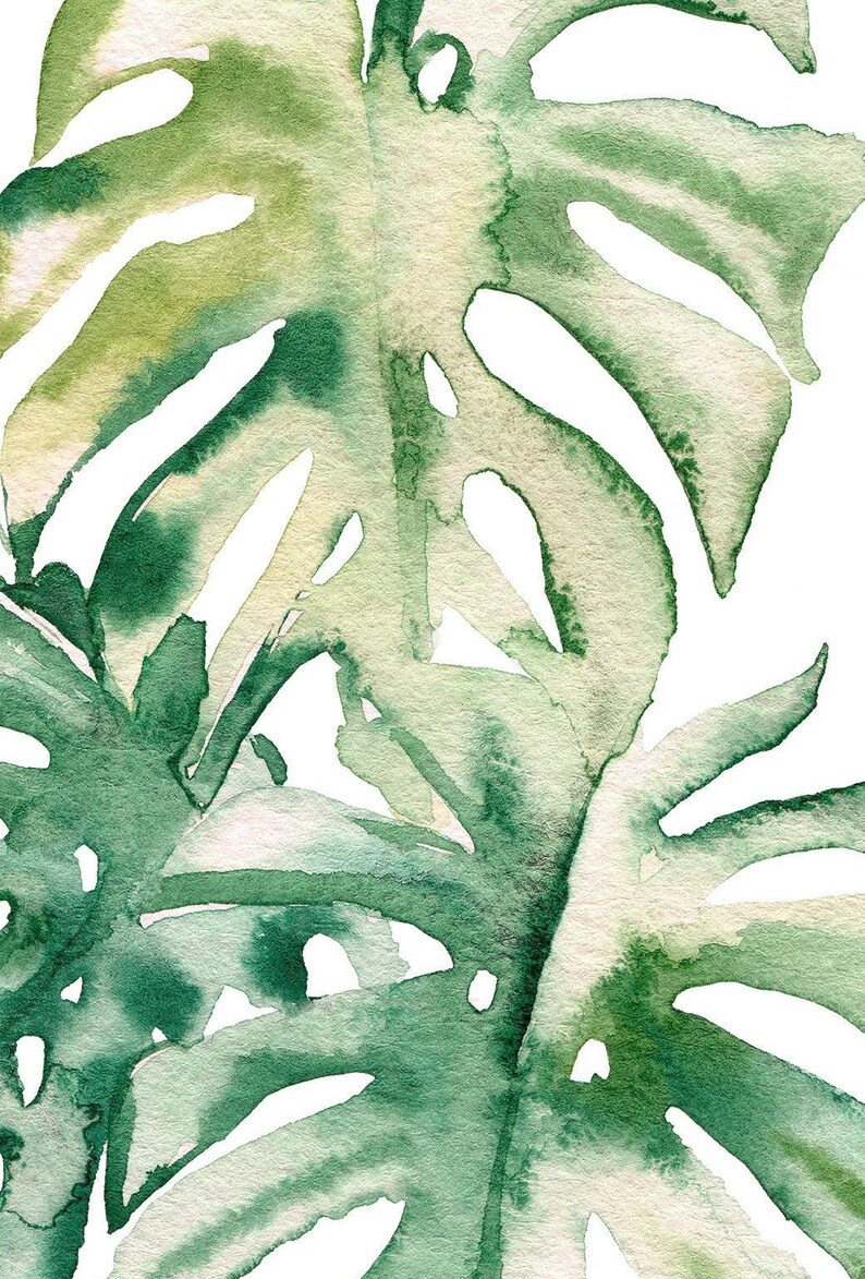 May include: Watercolor painting of green tropical leaves with a white background. The leaves are painted in a realistic style, with details of the veins and texture of the leaves.