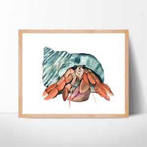 Hermit crab Watercolor Print