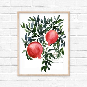 Pomegranate Fruit Watercolor Print