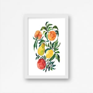 Fruits Watercolor Print 11x17 Print