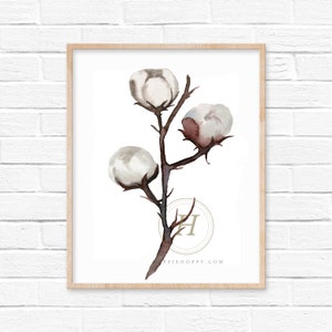 Cotton Art Print by HippieHoppy