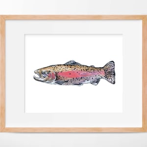 Rainbow Trout Watercolor Print