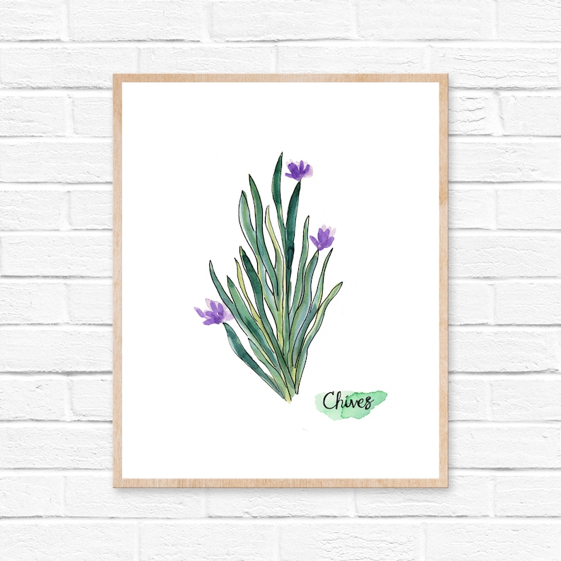 Herbs Set of 6 Watercolor Prints - Etsy