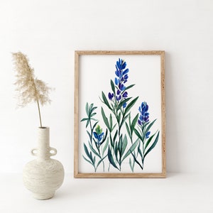 BLUEBONNET Watercolor Flower Print by Crystal Cortez Wall Art image 2