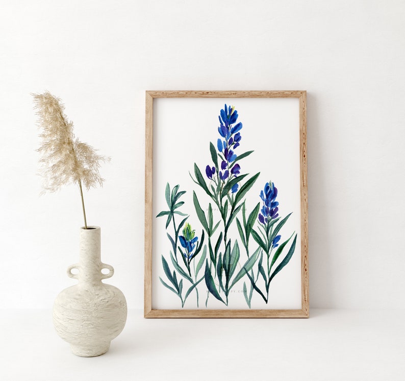 BLUEBONNET Watercolor Flower Print by Crystal Cortez Wall Art image 2