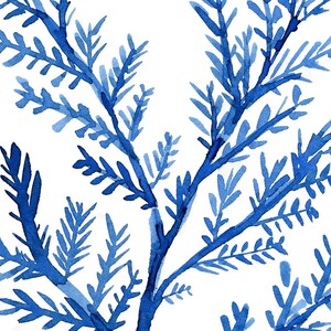 Coastal Wall Art Blue Seaweed Print Watercolor Set of 6 Prints - Etsy