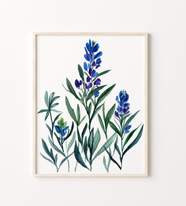 BLUEBONNET Watercolor Flower Print by Crystal Cortez Wall Art image 1