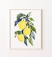 Lemon Watercolor Print 