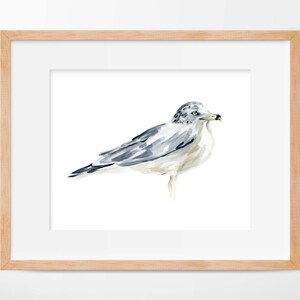 Seagull Watercolor Print
