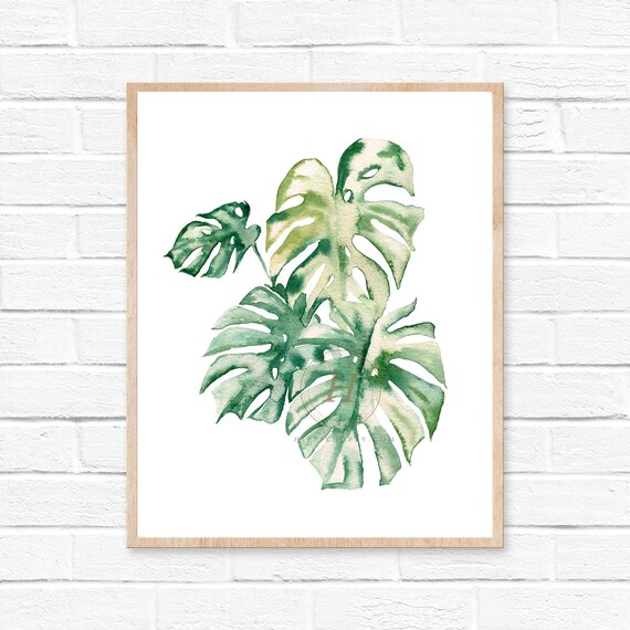 Monstera Pflanze Aquarell Druck - Etsy.de