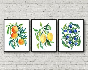 Orange Lemon and Blueberry Prints, Set of 3