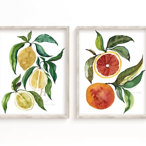 Citrus Art Prints Set of 2 by HippieHoppy