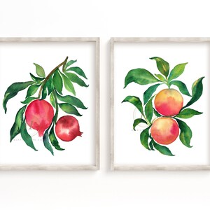 Pomegranate and Grapefruit Watercolor Print