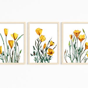 3er-Set Aquarell Kalifornische Mohnblumen Drucke - Gelbe Blumenkunst