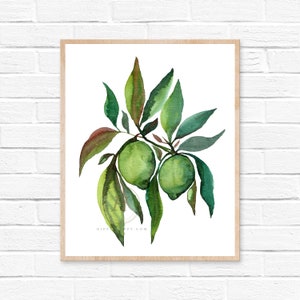 Lime Watercolor Print