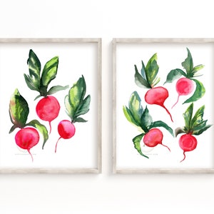 Radish Watercolor Prints Set of 2