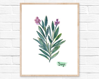 Sage Watercolor Print