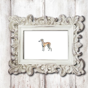 Small Greyhound Dog Print