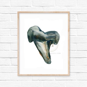 Stampa acquerello Shark Tooth
