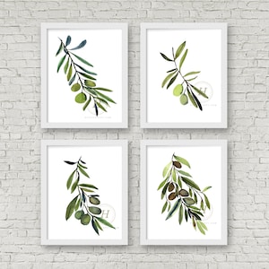Olive Branch Set of 4, Watercolor Prints