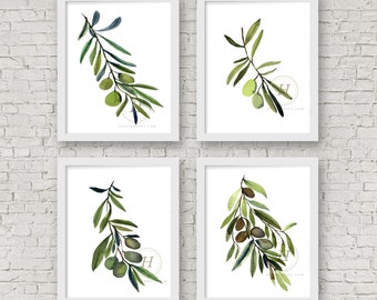 Olive Branch Set of 4, Watercolor Prints