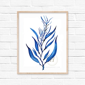 Seaweed Watercolor Print