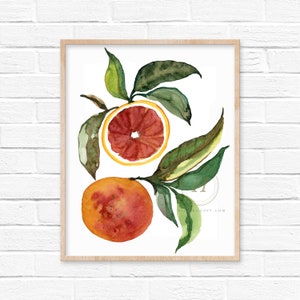 Grapefruit Watercolor Art Print Kitchen Decor