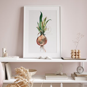 Stampa ad acquerello di cipolla, arte vegetale immagine 4