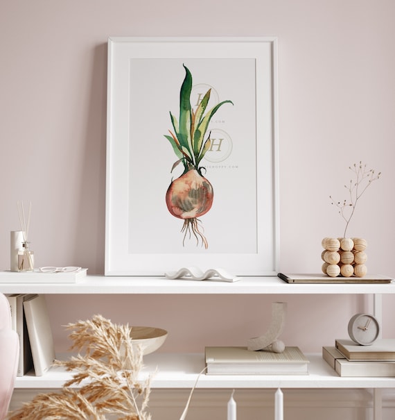 水彩画：玉ねぎ(額縁付き) 額入り油彩画 ポールセザンヌ 玉ねぎのある